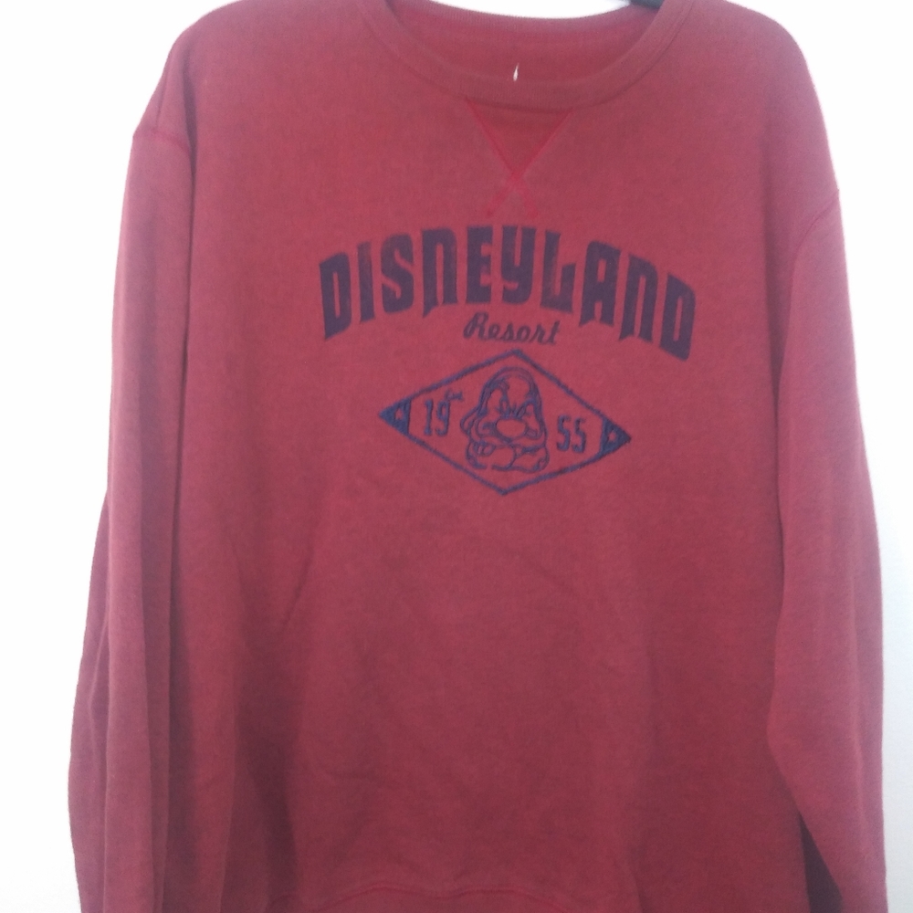 Disneyland Resort sweater men